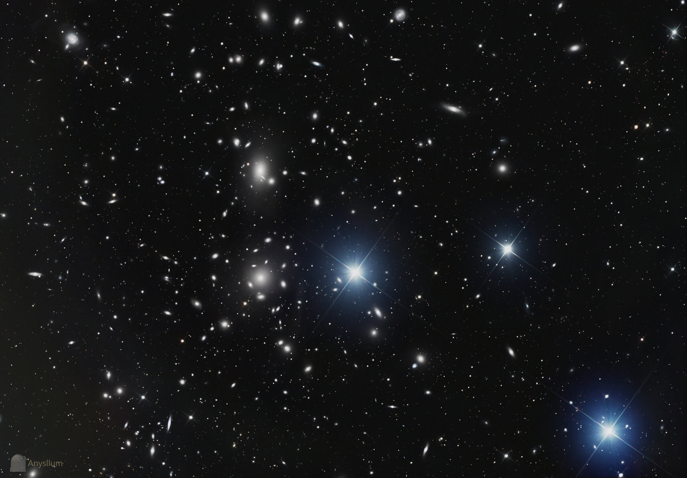 Coma Cluster